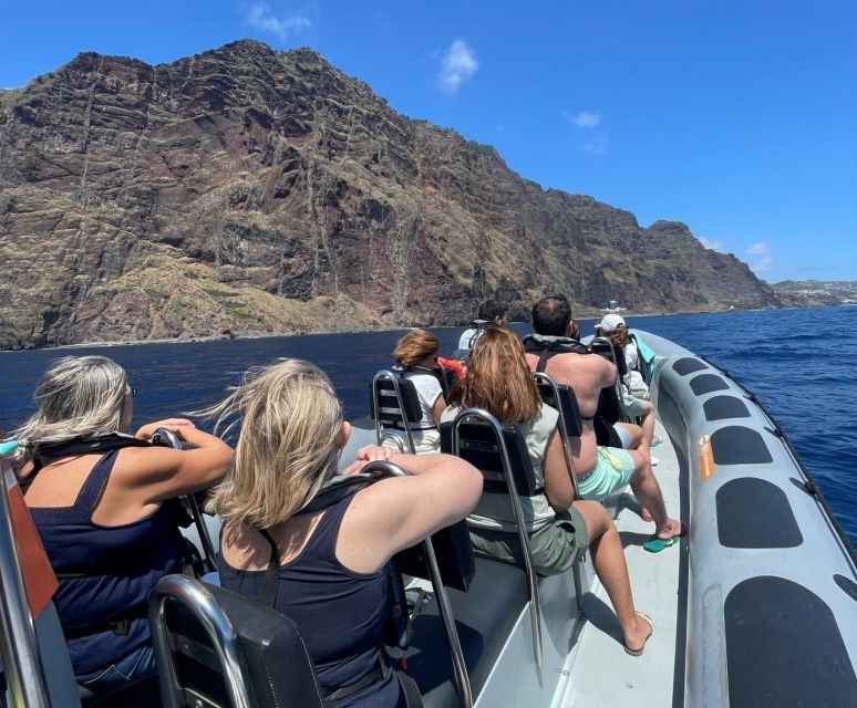 from-funchal-whale-and-dolphin-watching