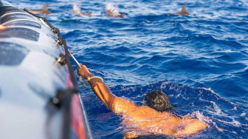 from-funchal-whale-and-dolphin-watching