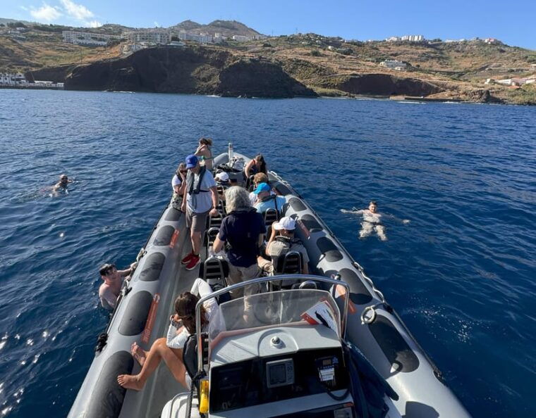 from-funchal-whale-and-dolphin-watching