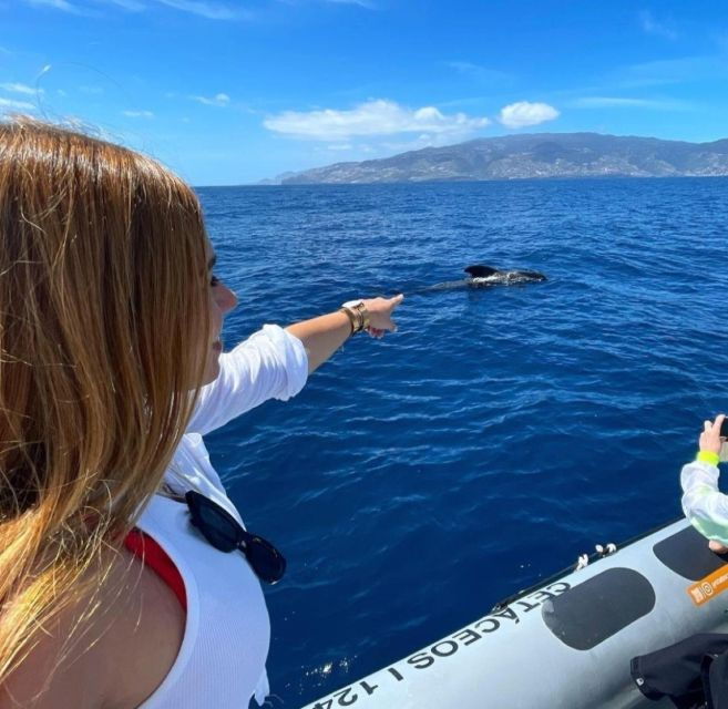 from-funchal-whale-and-dolphin-watching