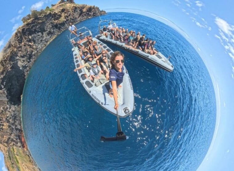 from-funchal-whale-and-dolphin-watching