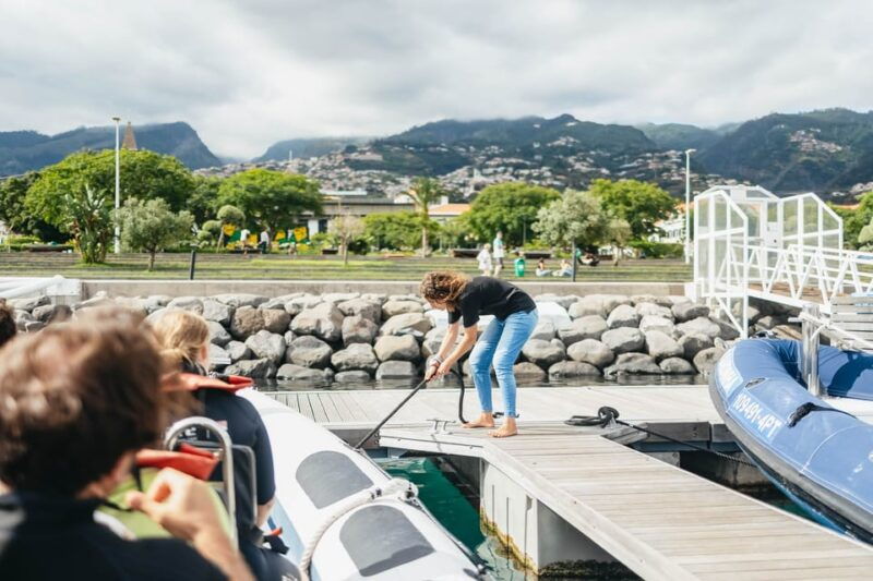 from-funchal-whales-and-dolphin-adventure-tour
