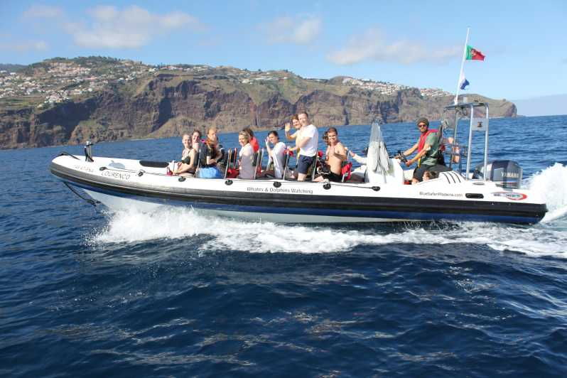 from-funchal-whales-and-dolphin-adventure-tour