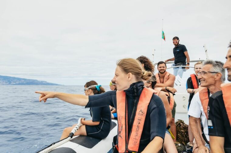 from-funchal-whales-and-dolphin-adventure-tour