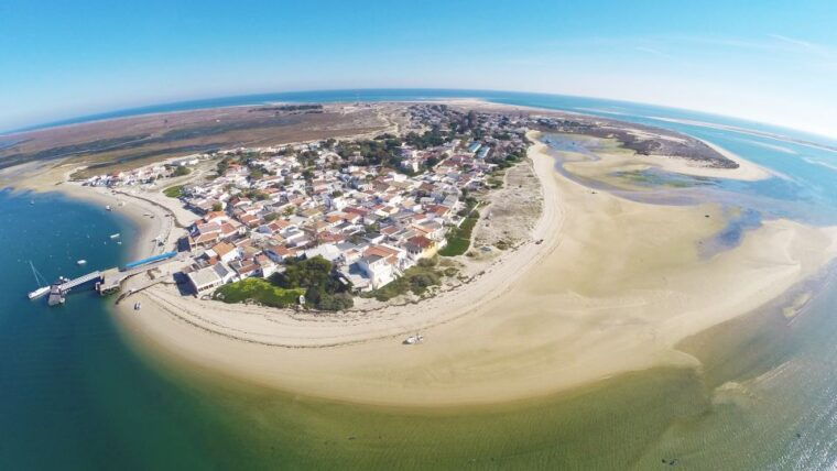 from-fuzeta-2-hour-southeast-ria-formosa-boat-trip