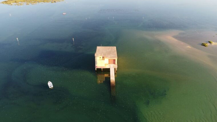 from-fuzeta-2-hour-southeast-ria-formosa-boat-trip