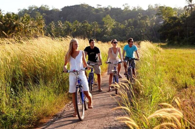 From Galle: All Inclusive Countryside Cycling Tour - Key Points