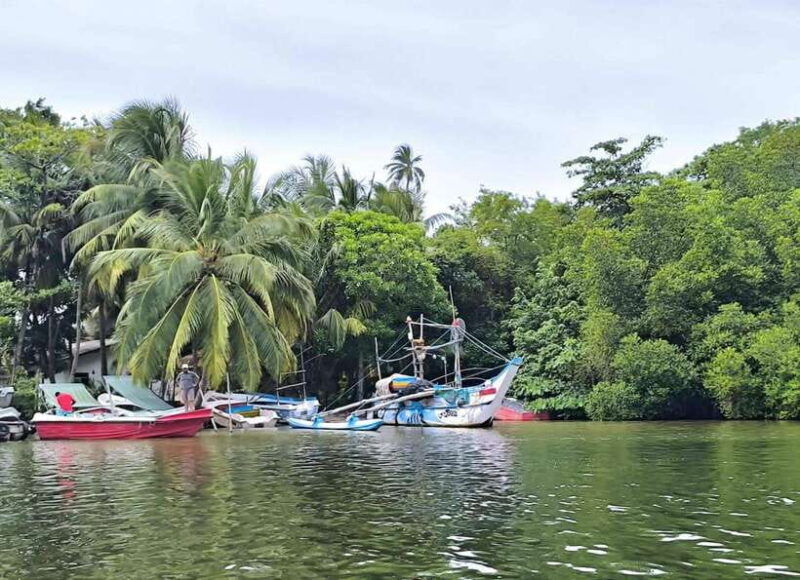 from-galle-colombomadu-river-safari-turtle-hatchery-visit