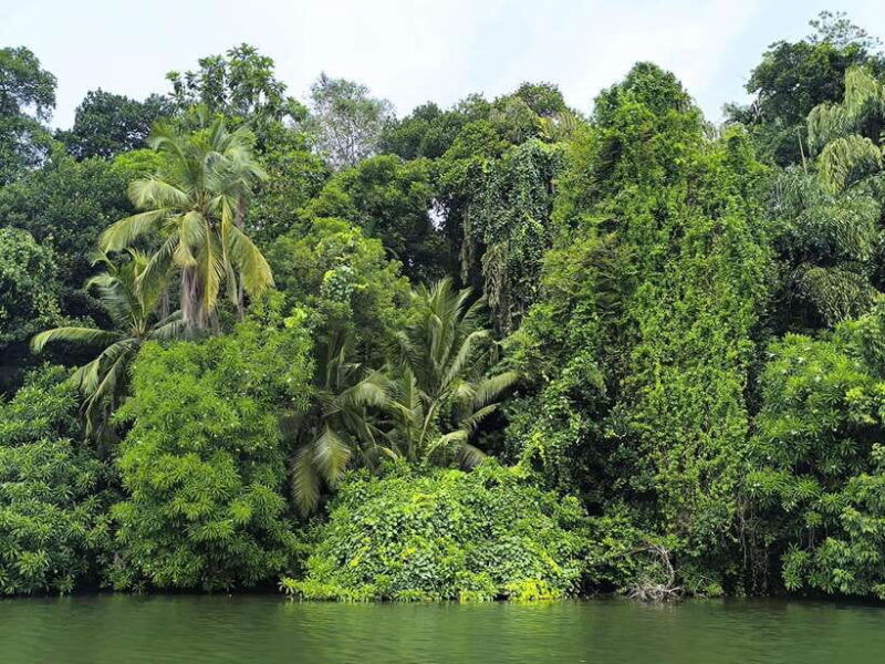 from-galle-colombomadu-river-safari-turtle-hatchery-visit