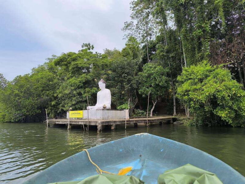 from-galle-colombomadu-river-safari-turtle-hatchery-visit