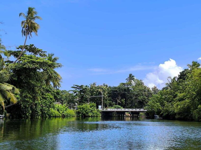 from-galle-colombomadu-river-safari-turtle-hatchery-visit