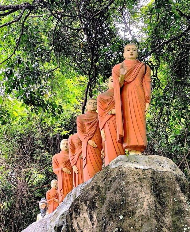 from-galle-colombomadu-river-safari-turtle-hatchery-visit