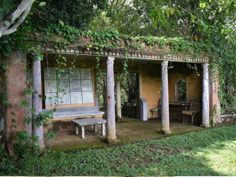 from-galle-hikkaduwa-discover-lunuganga-brief-garden