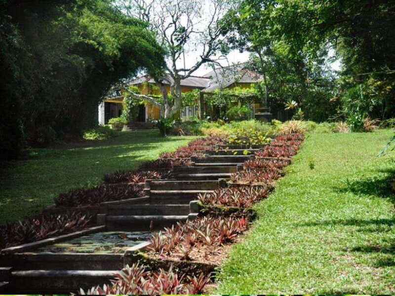 from-galle-hikkaduwa-discover-lunuganga-brief-garden