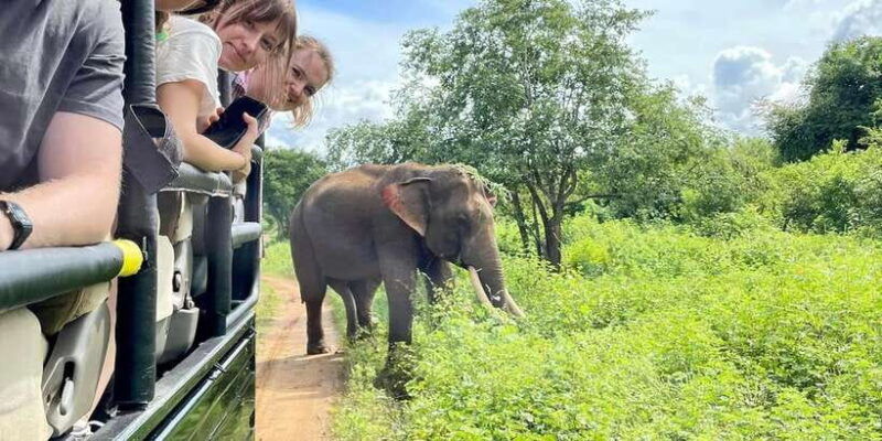 from-galle-hikkaduwa-mirissa-trip-to-udawalawe-safari-tour