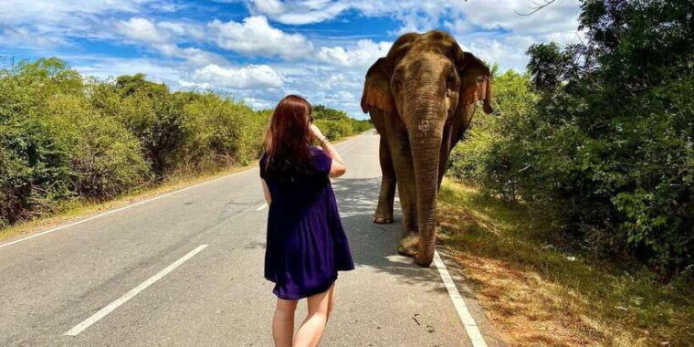 from-galle-hikkaduwa-mirissa-trip-to-udawalawe-safari-tour