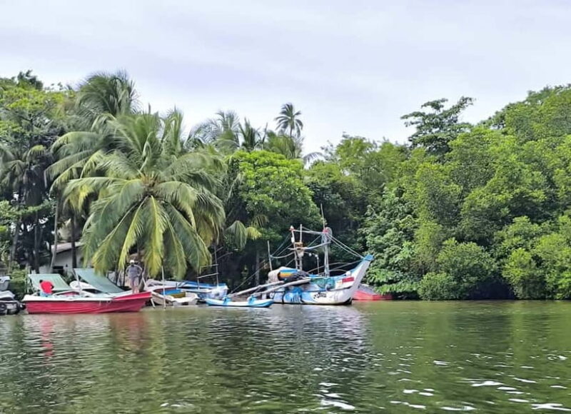 From Galle: Madu River Safari & Turtle Hatchery Visit - From Galle: Madu River Safari & Turtle Hatchery Visit—An Authentic Sri Lankan Adventure