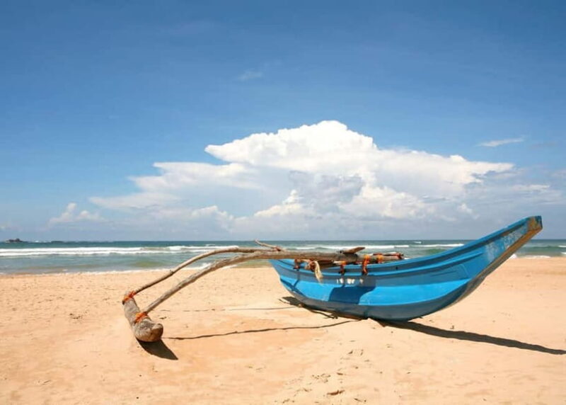 From Galle: Madu River Safari, Turtles & Galle Fort - Starting Point: Hotel Pickup in Galle