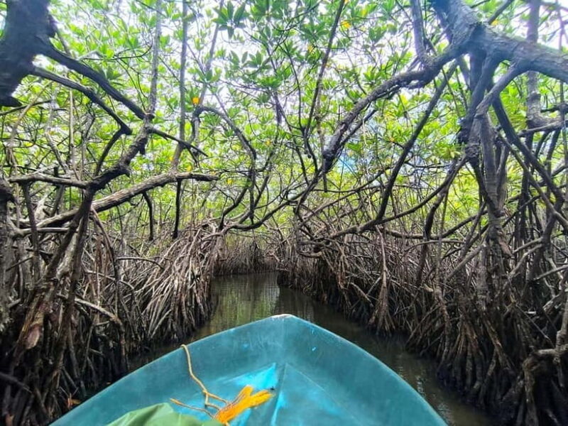 From Galle: Madu River Safari, Turtles & Galle Fort - Exploring Galle Fort