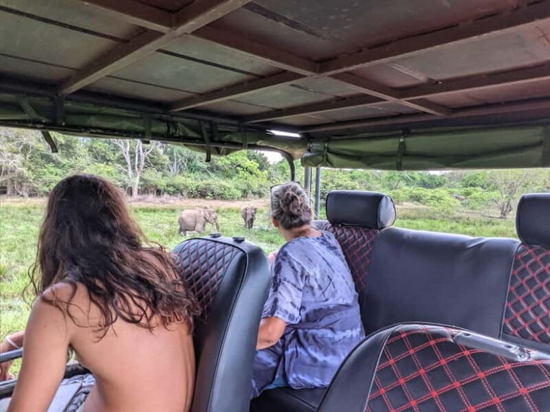 From Galle/ Mirissa/ Tangalle : Udawalawa Safari & Drop Ella - Reviews and Authentic Traveler Insights