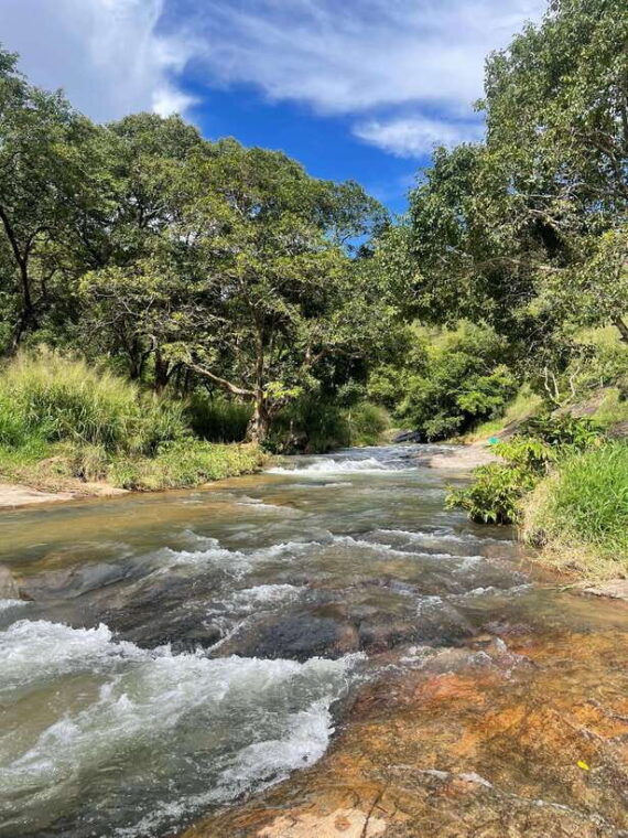 from-galle-mirissa-weligama-private-waterfall-hunt-to-ella