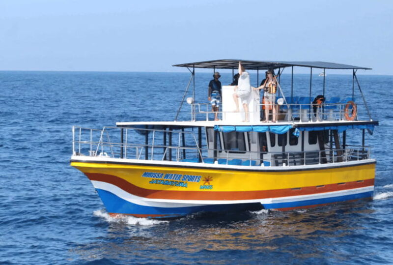 from-galle-mirissa-whale-and-dolphin-watching-boat-ride