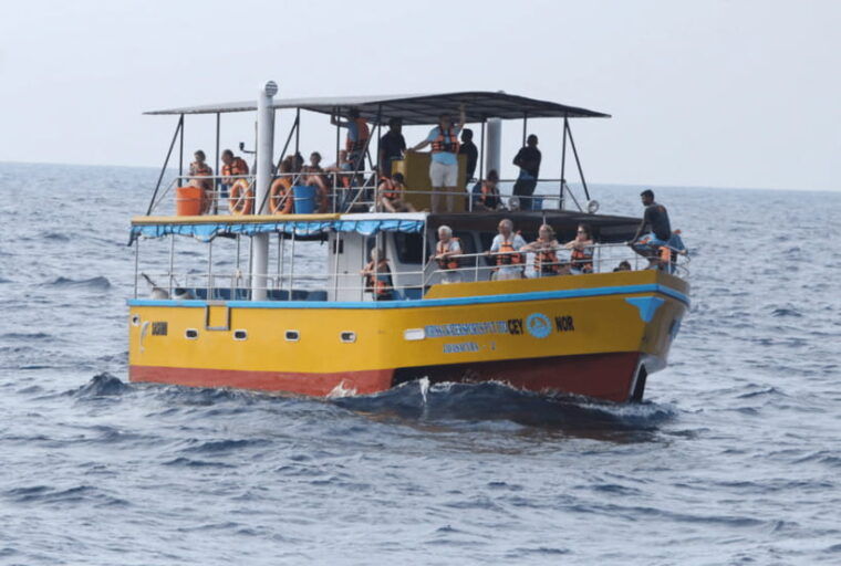 from-galle-mirissa-whale-and-dolphin-watching-boat-ride