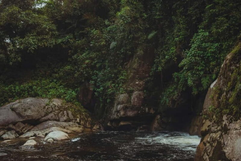 From Galle or Mirissa: Sinharaja Rainforest Day Trip - Key Points