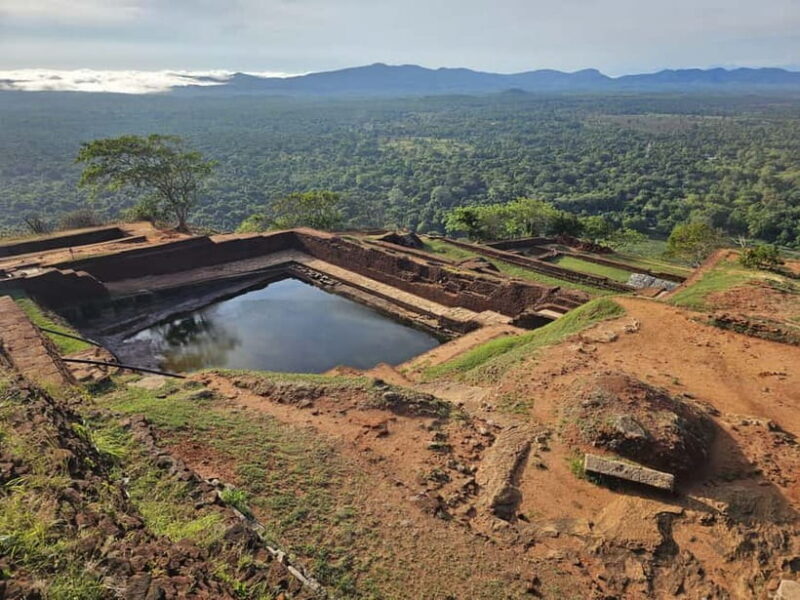 From Galle: Sigiriya Rock Fortress, Dambulla Cave & Safari - An In-Depth Look at the Tour Experience