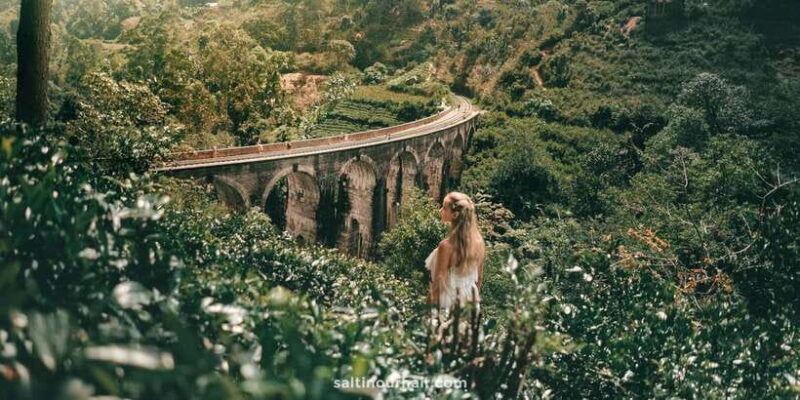 From Galle/Weligama/Mirissa: Day Trip to Experience Ella - Final Thoughts: Is This Tour Right for You?