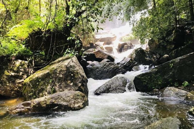 From Galle/Weligama/Mirissa/Matara: Day Trip to Sinharaja - What to Expect: A Detailed Breakdown of the Sinharaja Day Trip