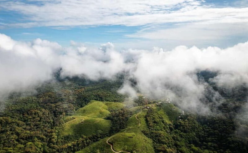 From Galle/Weligama/Mirissa/Matara: Day Trip to Sinharaja - Key Points