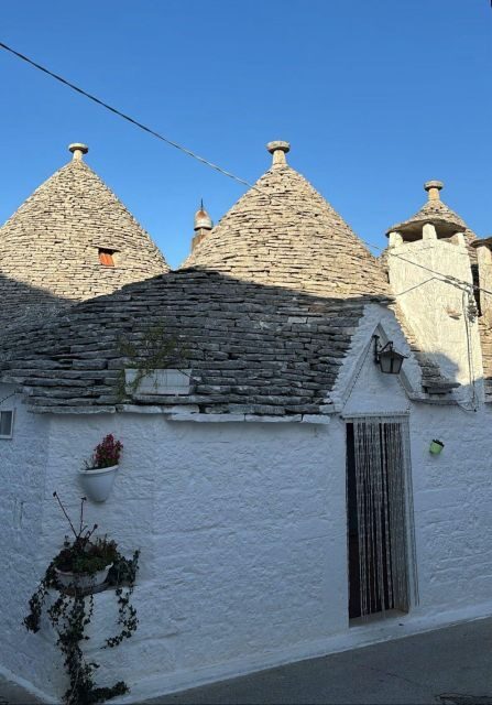 From Gallipoli or Lecce Province: Ostuni and Alberobello - Who Will Love This Tour?