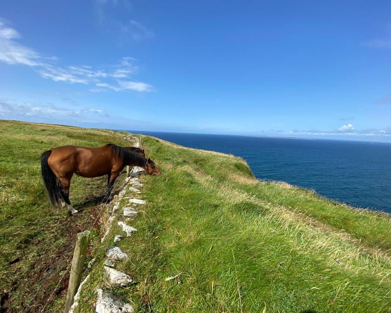from-galway-cliffs-of-moher-guided-coastal-walk