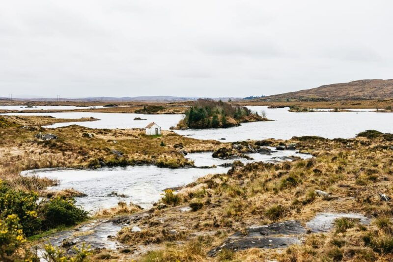 from-galway-connemara-and-connemara-national-park-day-trip