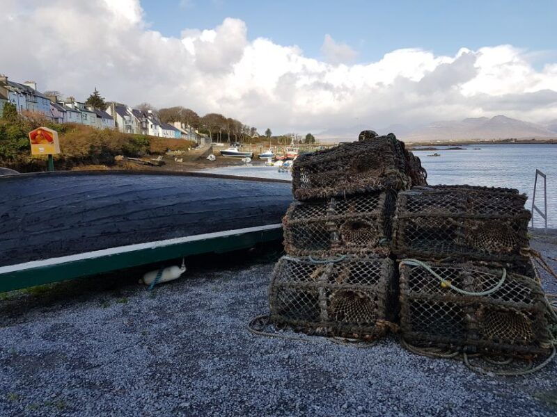 from-galway-connemara-and-kylemore-abbey-day-tour