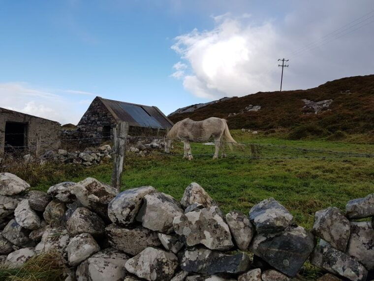 from-galway-connemara-and-kylemore-abbey-day-tour