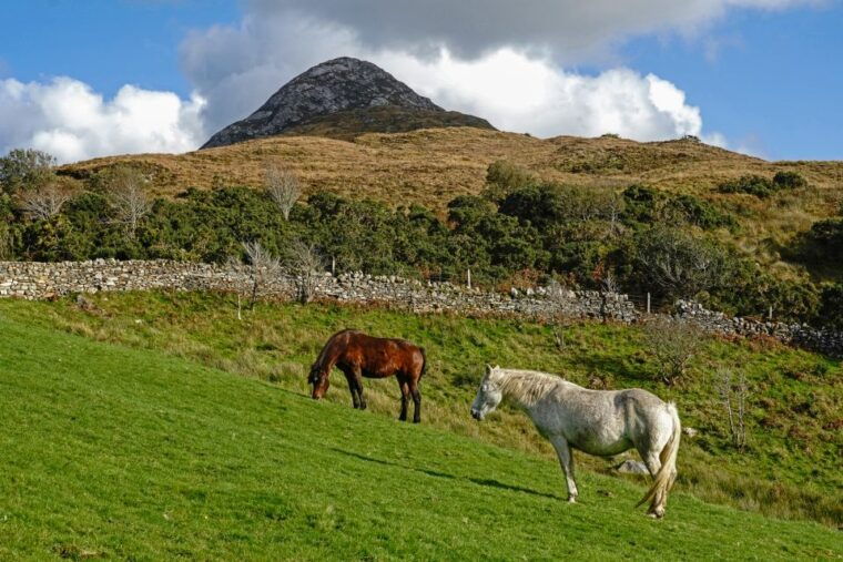from-galway-connemara-national-park-full-day-tour