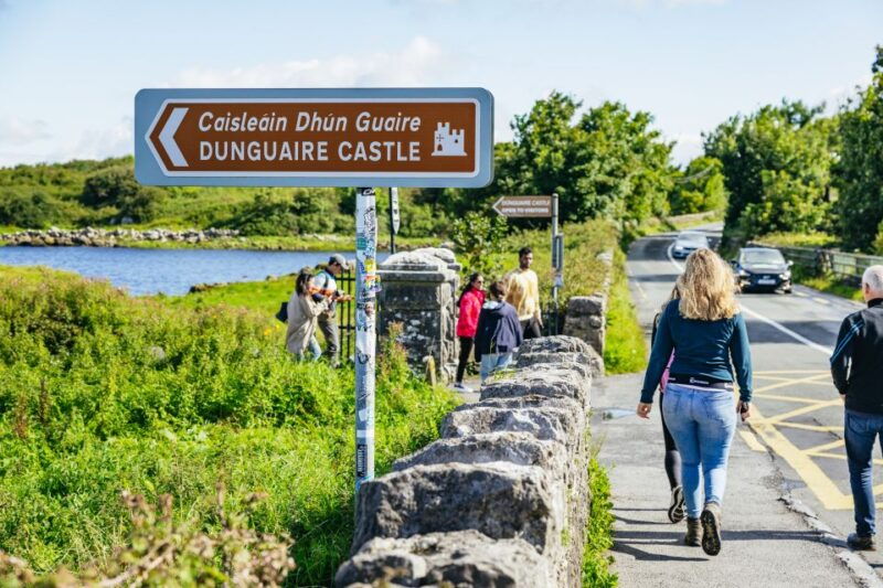 from-galway-full-day-cliffs-of-moher-burren-guided-tour