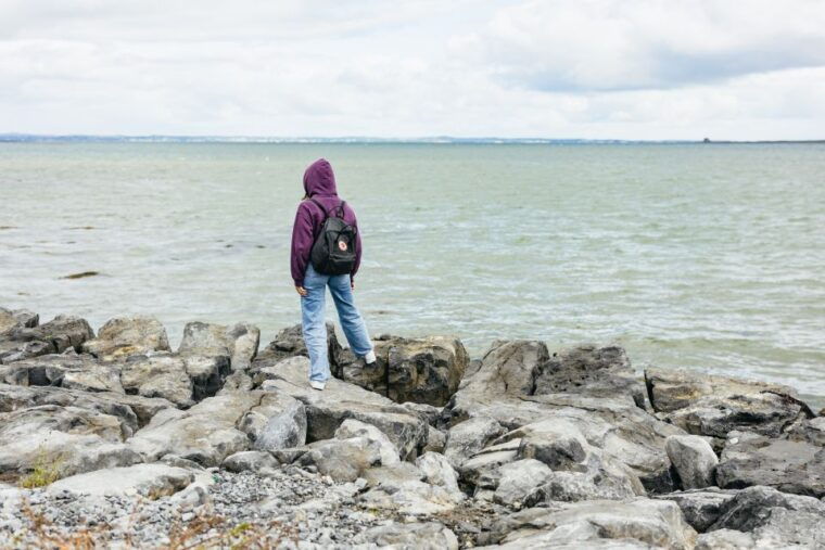 from-galway-full-day-cliffs-of-moher-burren-guided-tour