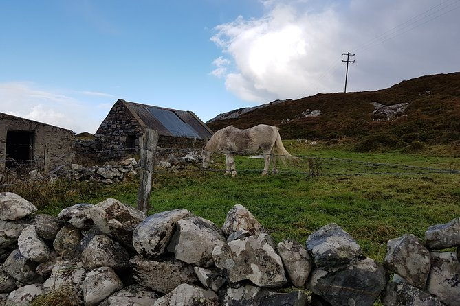 from-galway-guided-tour-of-connemara-with-3-hour-stop-in-kylemore-abbey