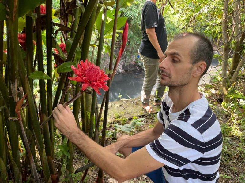 From Garden to Table: Indonesian Cooking Class in Yogyakarta - Introduction