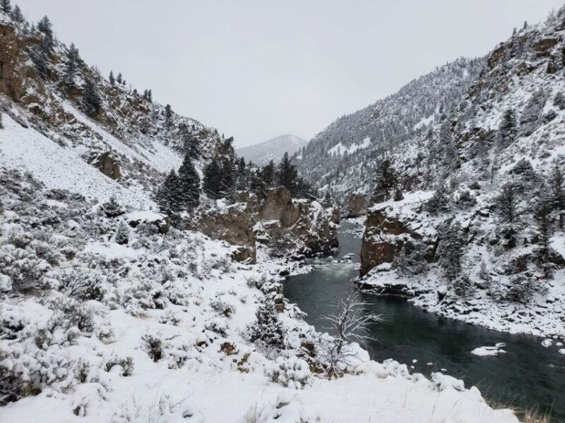 from-gardiner-guided-yellowstone-cross-country-skiing-tour