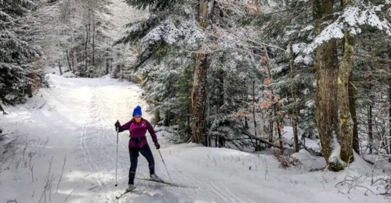 from-gardiner-guided-yellowstone-cross-country-skiing-tour