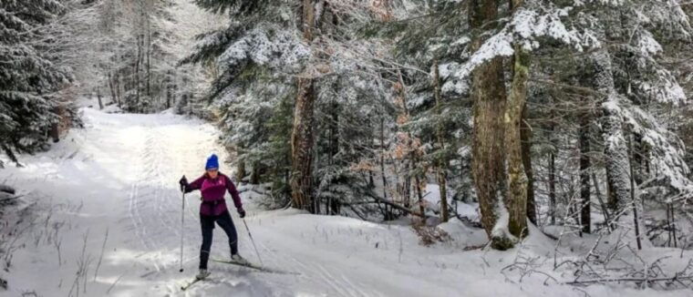 from-gardiner-guided-yellowstone-cross-country-skiing-tour