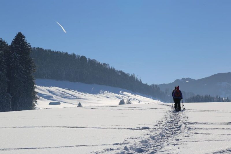 from-gardiner-yellowstone-national-park-snowshoe-tour
