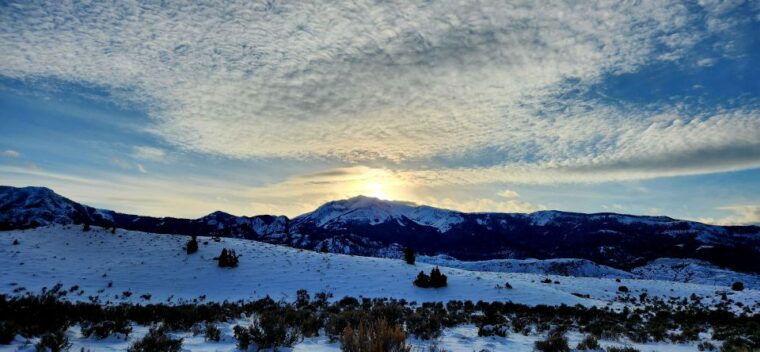 from-gardiner-yellowstone-national-park-snowshoe-tour