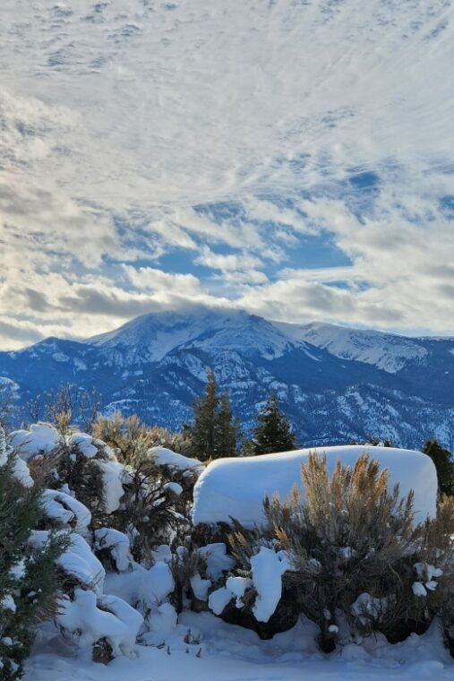 from-gardiner-yellowstone-national-park-snowshoe-tour