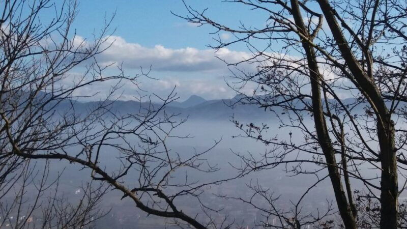 from-gavi-piedmont-truffle-hunting-experience-with-tasting
