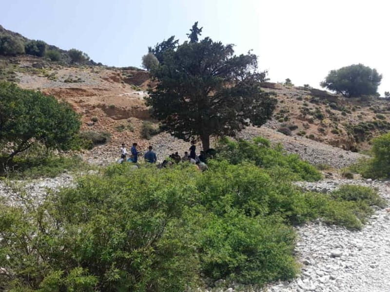 From Georgioupoli: Easy Hiking Day-Trip to Imbros Gorge - The Sum Up